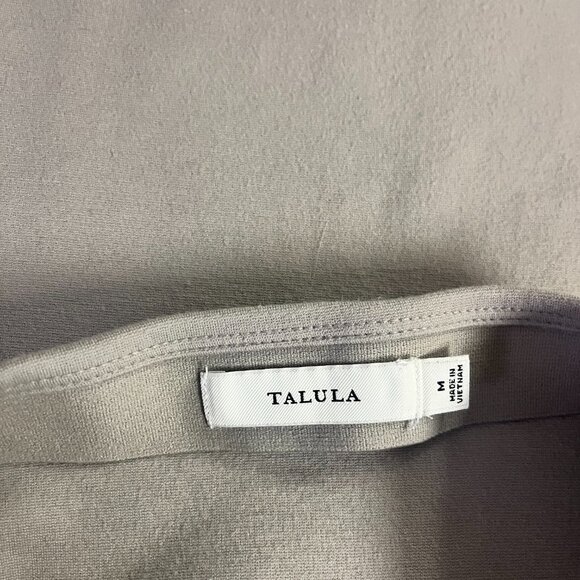Aritzia Talula Skirt (Ashen) - Picture 3 of 3